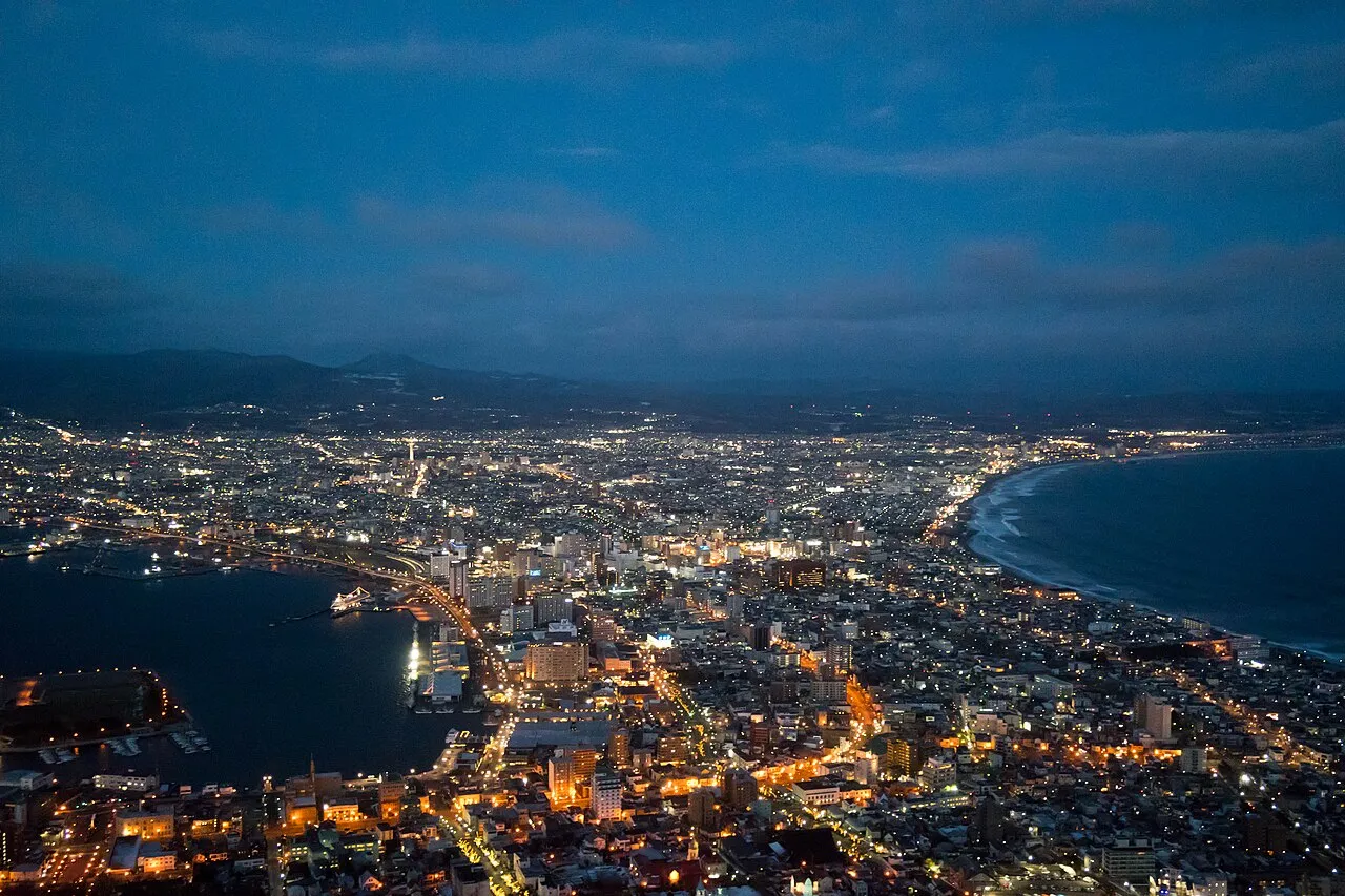 高台からのぞむ夜の函館。街の明かりと海岸線が広がる夜景