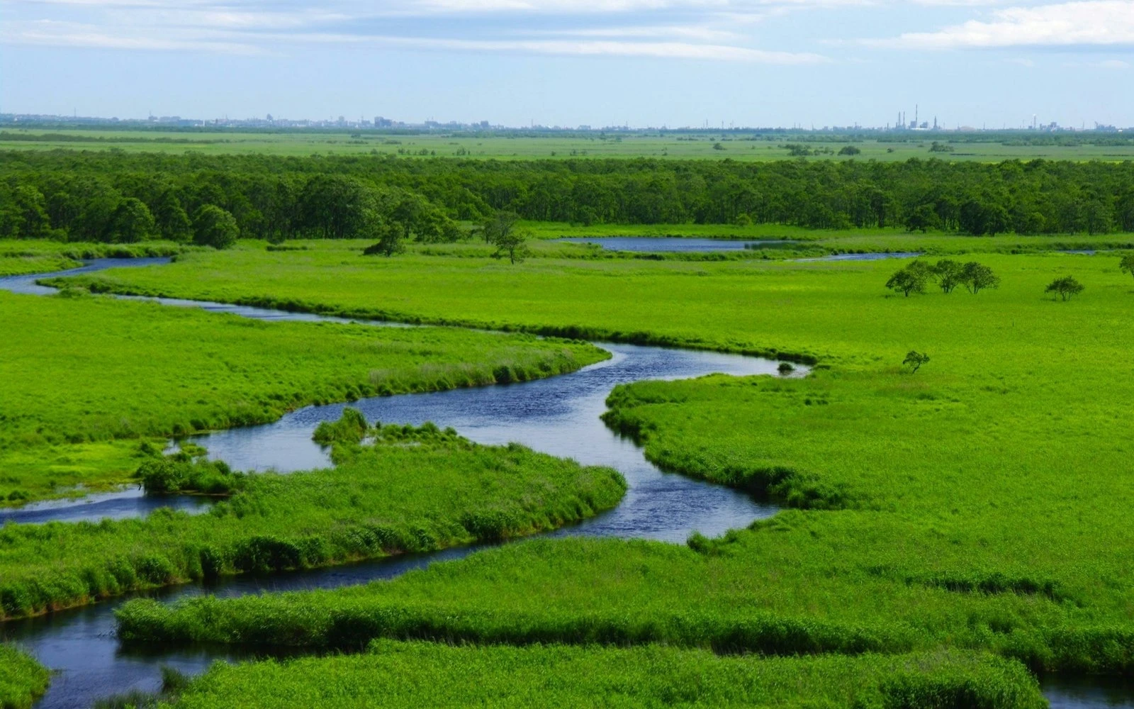 広く続く釧路湿原の風景